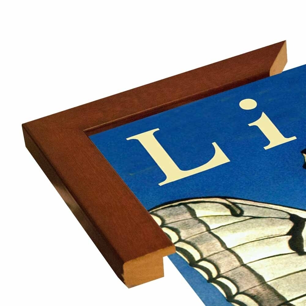 Life-VINAPP114444 Print 20"x12.25" by Vintage Apple Collection