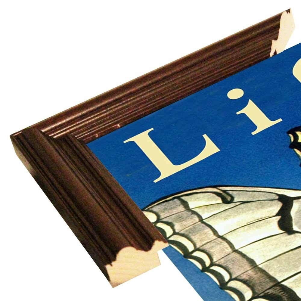 Life-VINAPP114444 Print 20"x12.25" by Vintage Apple Collection
