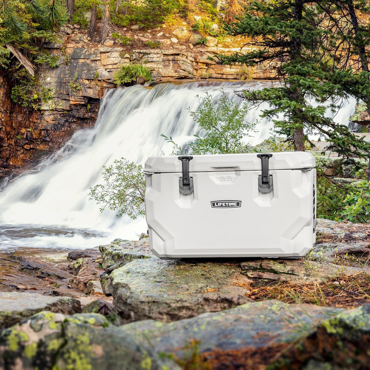 Lifetime 65 Quart High Performance Cooler - 65 Quart