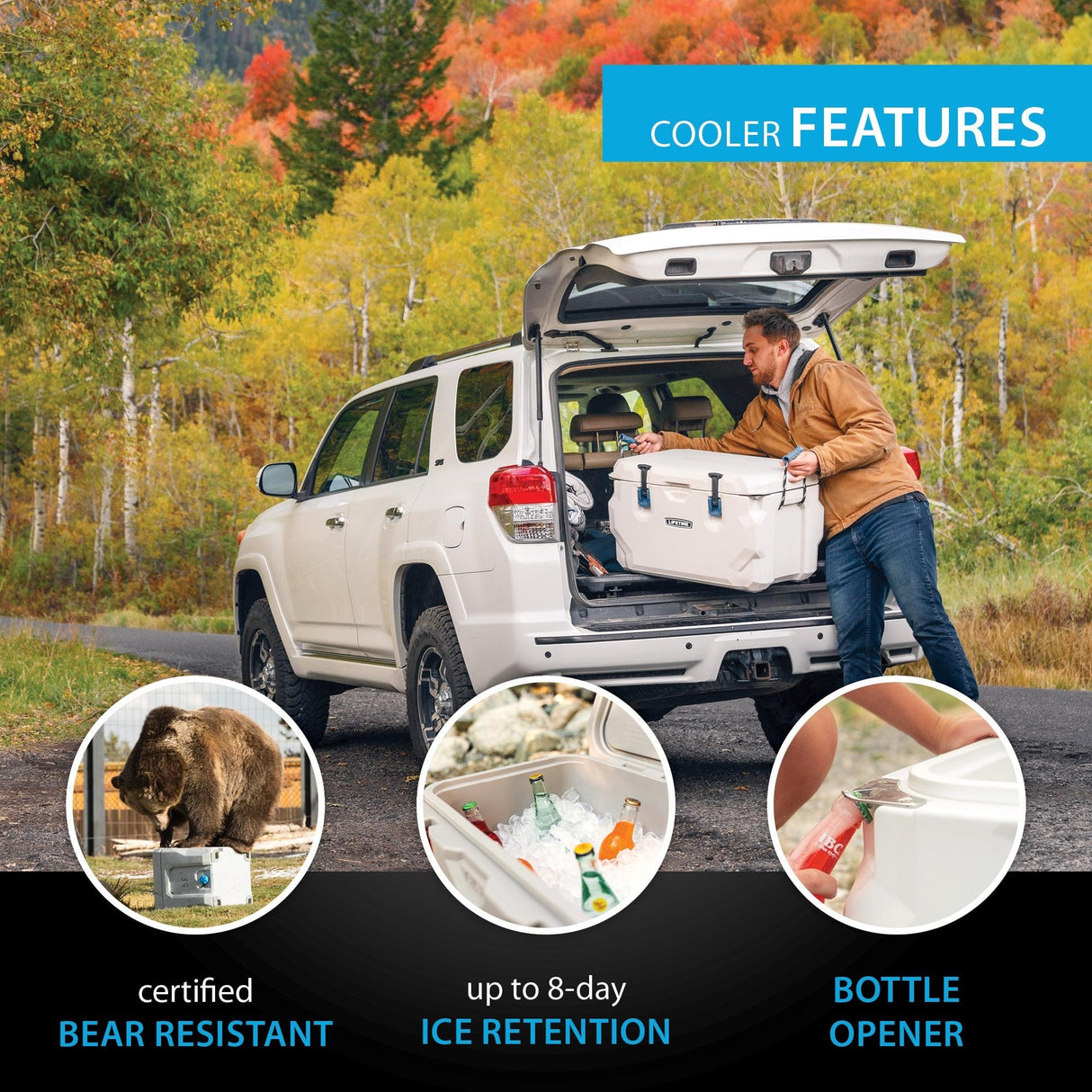 Lifetime 65 Quart High Performance Cooler