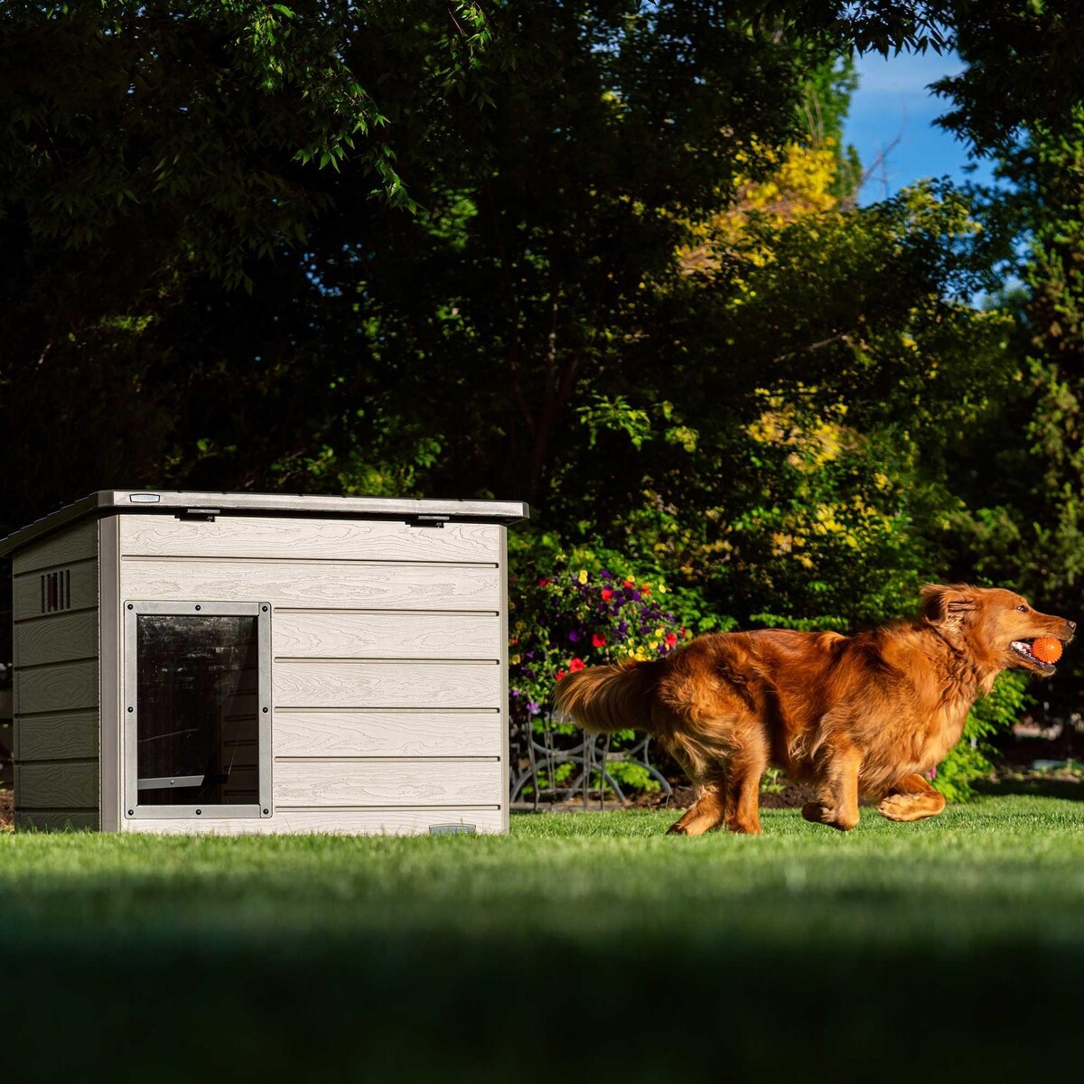 Lifetime Deluxe Dog House, Large