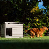 Lifetime Deluxe Dog House, Large