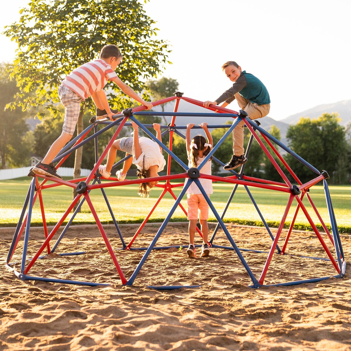 Lifetime Red/Blue Powder-coated-steel Dome Climber with Handholds