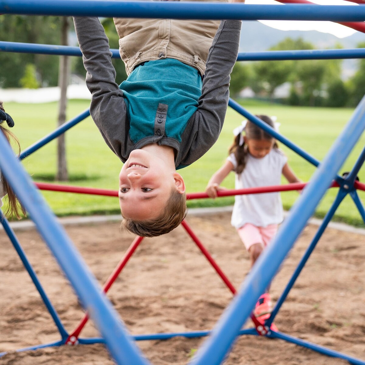 Lifetime Red/Blue Powder-coated-steel Dome Climber with Handholds
