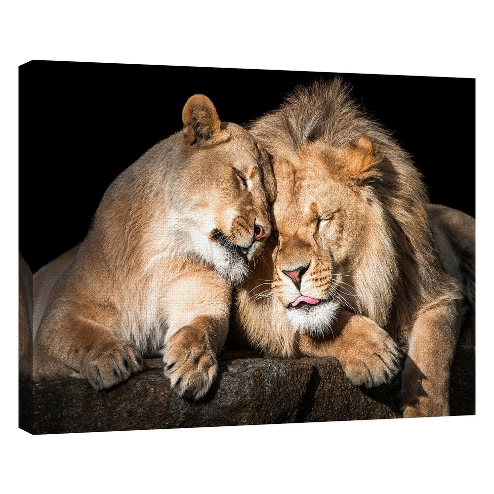 Masterpiece Art Gallery Lion Love By Belle Maison Canvas Art Print