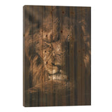 Lion Sunshine Print On Wood by Milos Karanovic - Multi-Color
