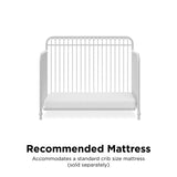 Little Seeds Ivy 3-in-1 Convertible Metal Crib