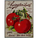Livingston Tomato-VINAPP131531 Framed Print 22"x17" by Vintage Apple Collection