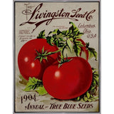 Livingston Tomato-VINAPP131531 Framed Print 22"x17" by Vintage Apple Collection