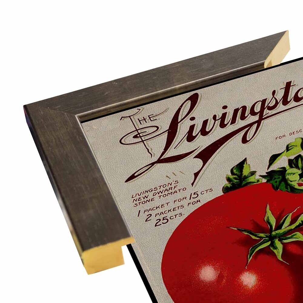 Livingston Tomato-VINAPP131531 Framed Print 22"x17" by Vintage Apple Collection