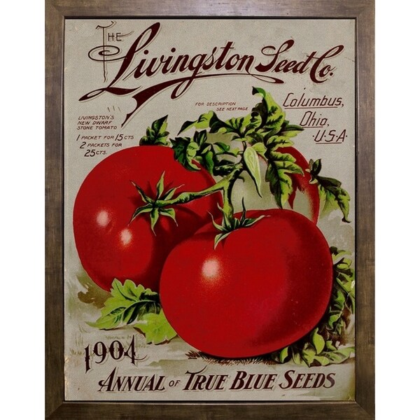 Livingston Tomato-VINAPP131531 Framed Print 22"x17" by Vintage Apple Collection