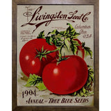 Livingston Tomato-VINAPP131531 Framed Print 22"x17" by Vintage Apple Collection