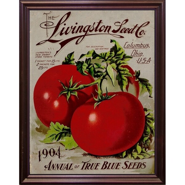 Livingston Tomato-VINAPP131531 Framed Print 22"x17" by Vintage Apple Collection