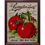 Livingston Tomato-VINAPP131531 Framed Print 22"x17" by Vintage Apple Collection