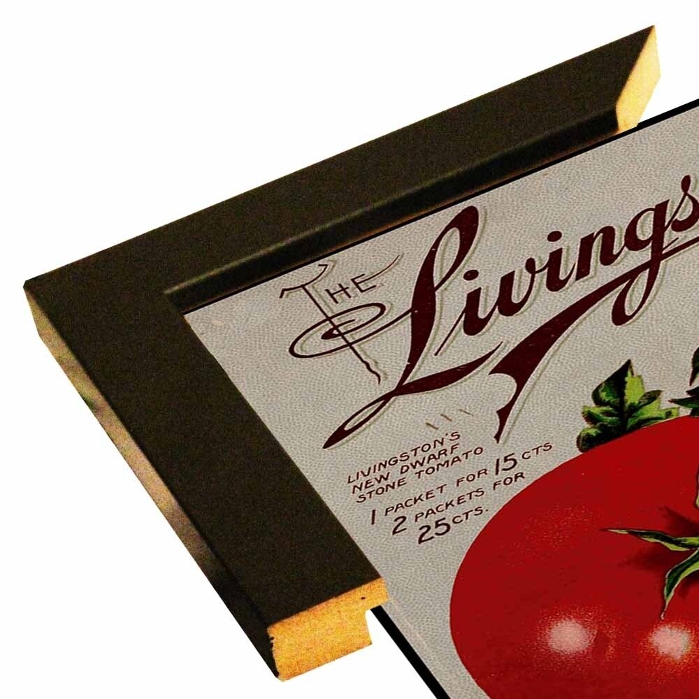 Livingston Tomato-VINAPP131531 Framed Print 22"x17" by Vintage Apple Collection