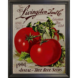 Livingston Tomato-VINAPP131531 Framed Print 22"x17" by Vintage Apple Collection