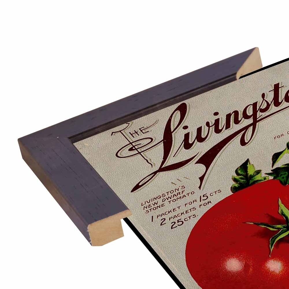 Livingston Tomato-VINAPP131531 Framed Print 22"x17" by Vintage Apple Collection