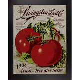Livingston Tomato-VINAPP131531 Framed Print 22"x17" by Vintage Apple Collection