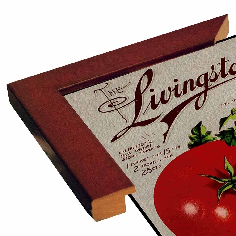 Livingston Tomato-VINAPP131531 Framed Print 22"x17" by Vintage Apple Collection