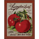 Livingston Tomato-VINAPP131531 Framed Print 22"x17" by Vintage Apple Collection
