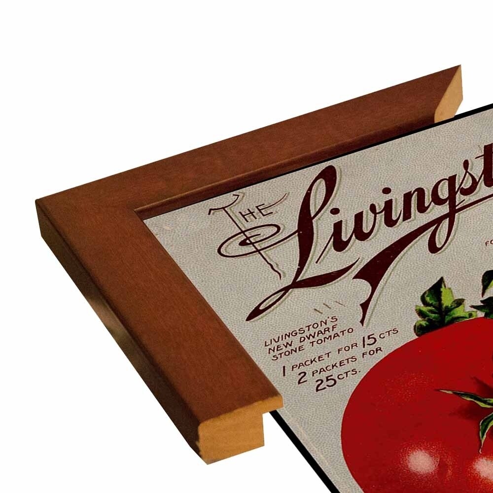 Livingston Tomato-VINAPP131531 Framed Print 22"x17" by Vintage Apple Collection