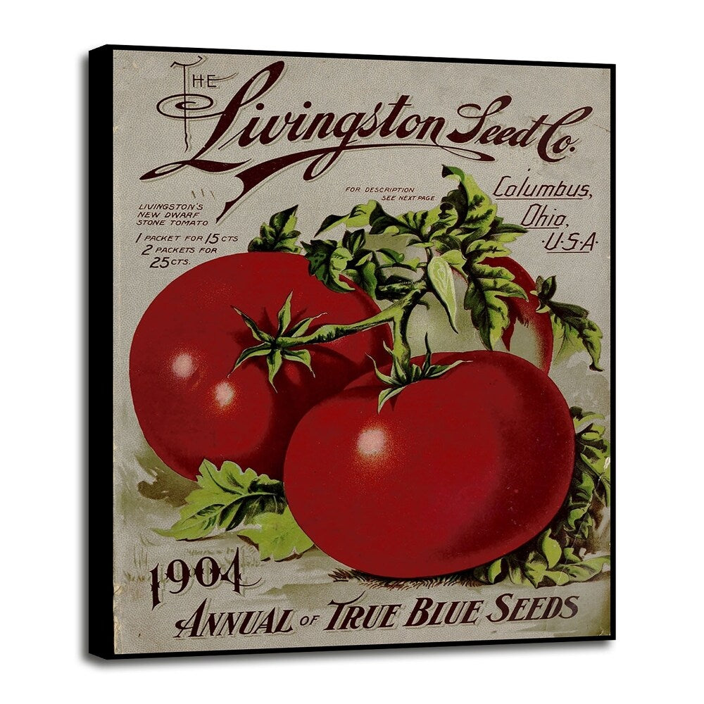 Livingston Tomato-VINAPP131531 Framed Print 22"x17" by Vintage Apple Collection