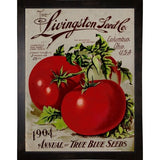 Livingston Tomato-VINAPP131531 Framed Print 22"x17" by Vintage Apple Collection