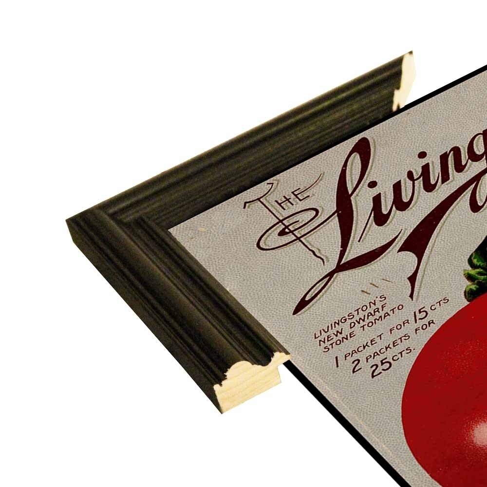 Livingston Tomato-VINAPP131531 Framed Print 22"x17" by Vintage Apple Collection