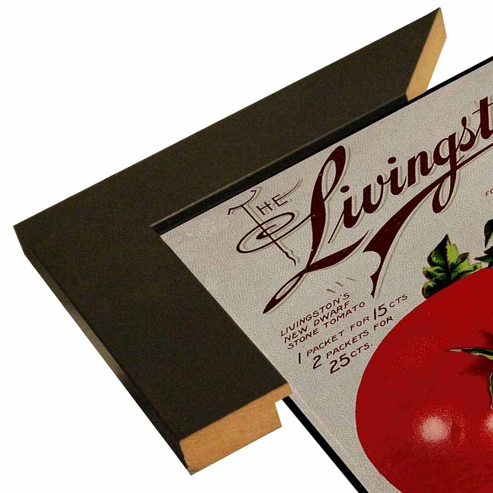 Livingston Tomato-VINAPP131531 Framed Print 22"x17" by Vintage Apple Collection