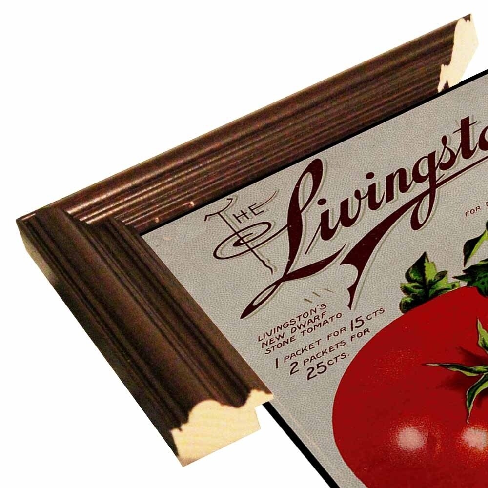 Livingston Tomato-VINAPP131531 Framed Print 22"x17" by Vintage Apple Collection