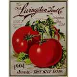 Livingston Tomato-VINAPP131531 Framed Print 22"x17" by Vintage Apple Collection