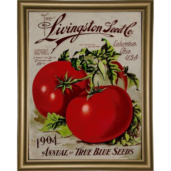 Livingston Tomato-VINAPP131531 Framed Print 22"x17" by Vintage Apple Collection