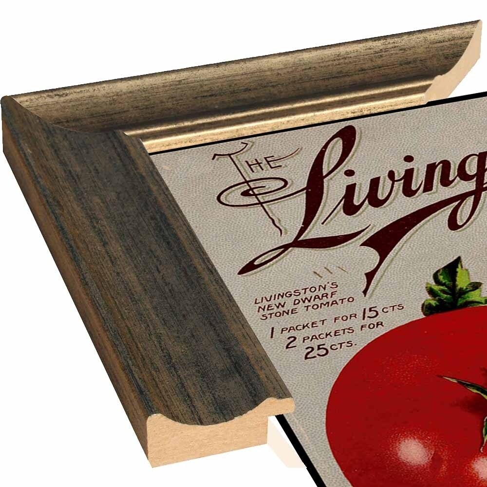 Livingston Tomato-VINAPP131531 Framed Print 22"x17" by Vintage Apple Collection