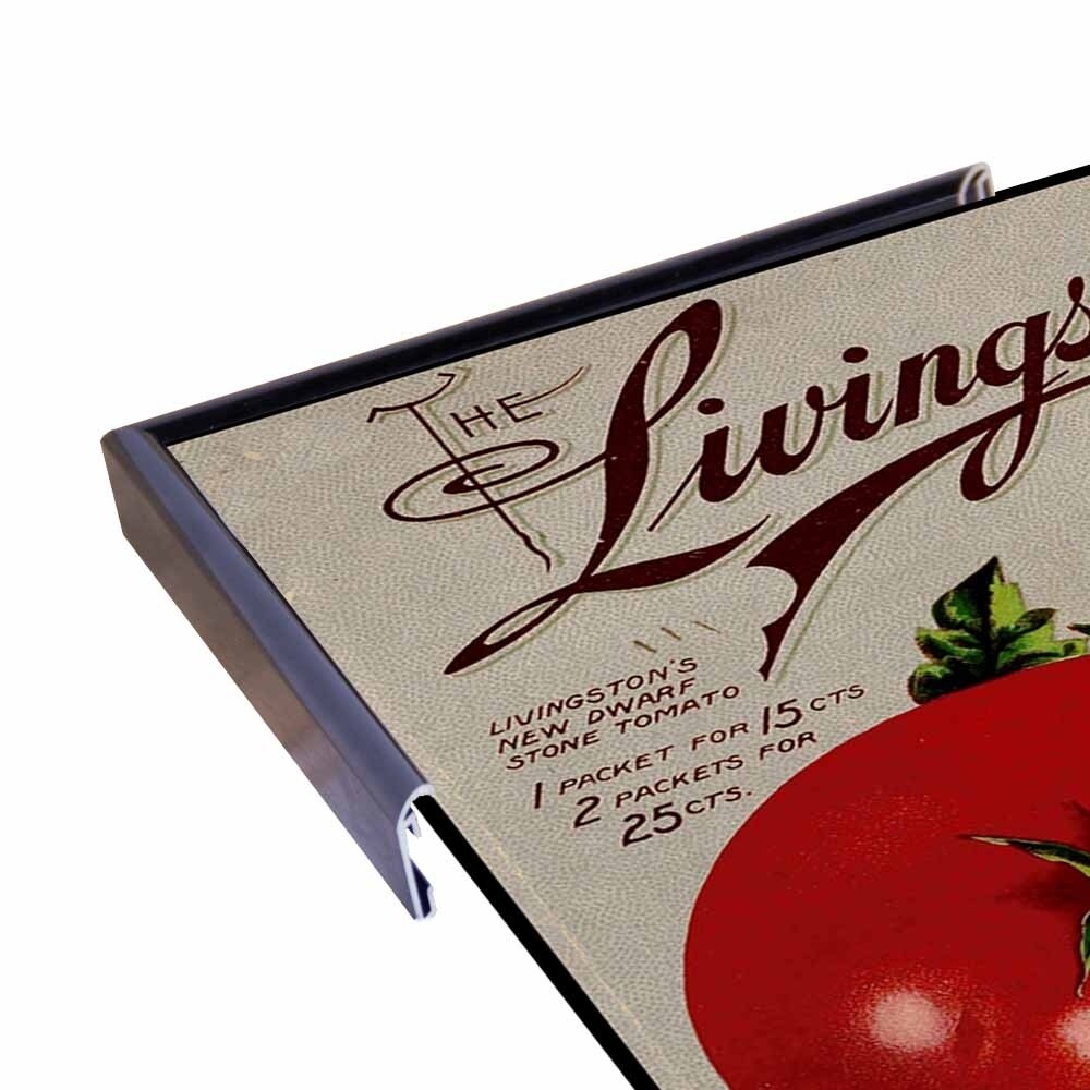 Livingston Tomato-VINAPP131531 Framed Print 22"x17" by Vintage Apple Collection