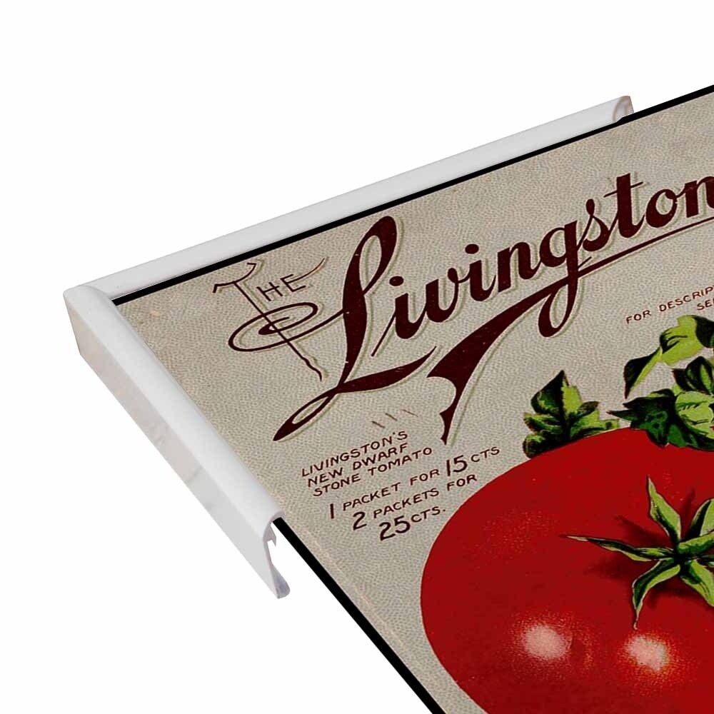 Livingston Tomato-VINAPP131531 Framed Print 22"x17" by Vintage Apple Collection