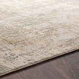 Lochana Blue Modern Area Rug - 8'10" x 12'3"