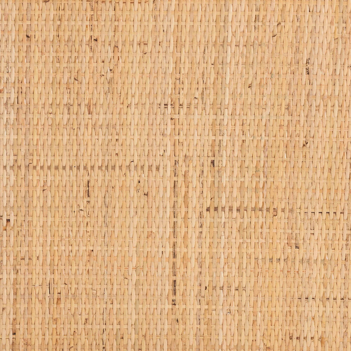 Lombok Modern Bohemian Natural Rattan Coffee Table