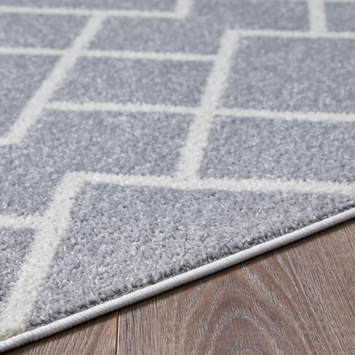 Loomaknoti Kissandrah Bleyana Gray Area Rug