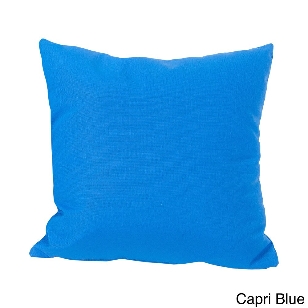 Lorie Canvas Sunbrella Throw Pillow by Christopher Knight Home