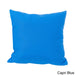 Lorie Canvas Sunbrella Throw Pillow by Christopher Knight Home