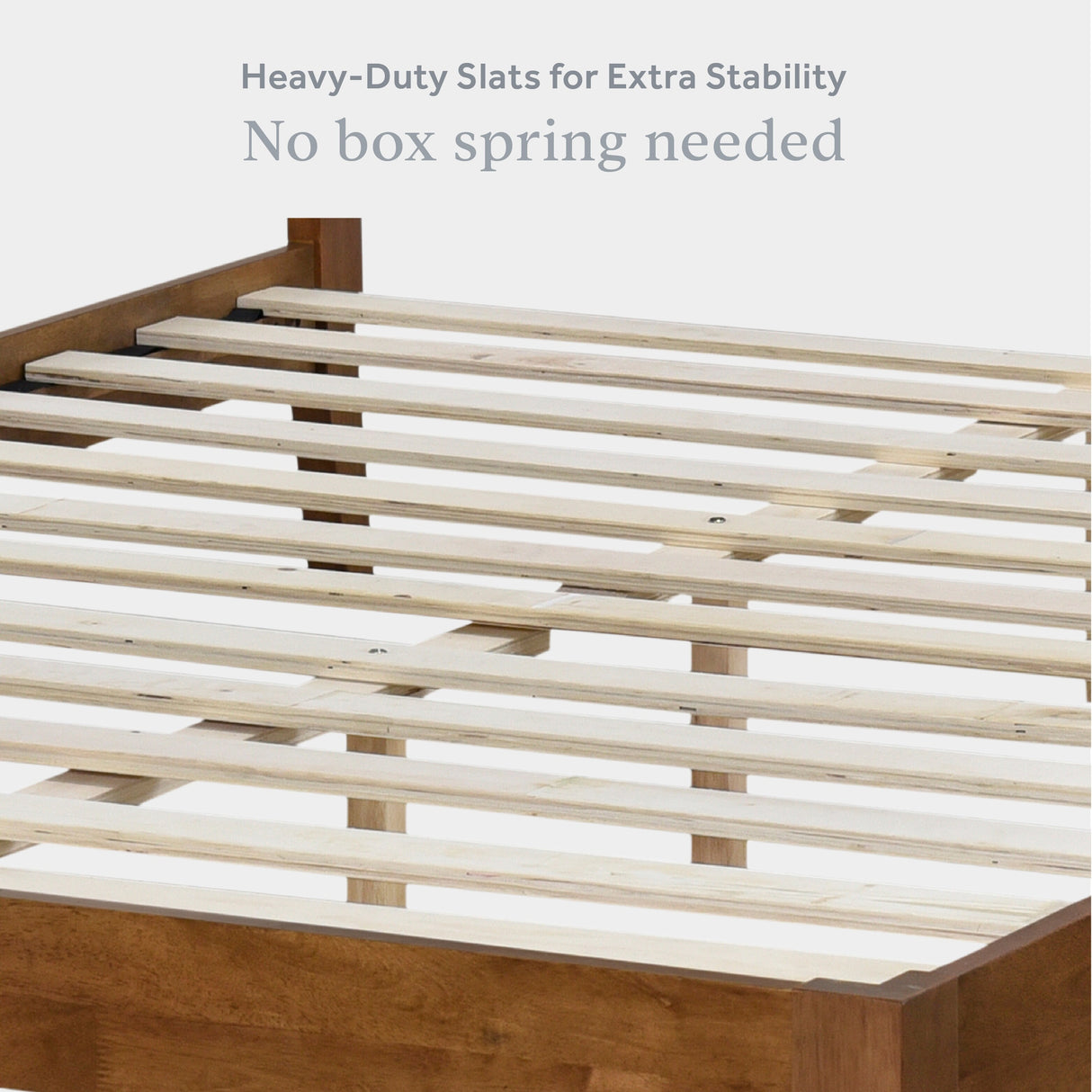 Lucass Shell Queen Wood Upholstered Platform Bed Frame