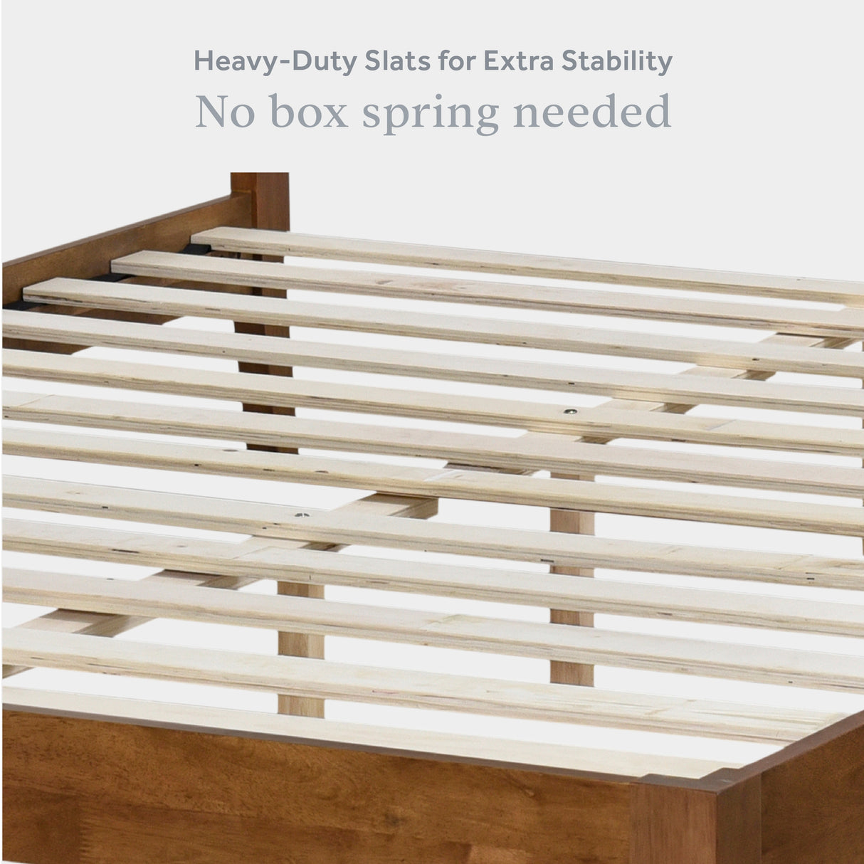 Lucass Shell Queen Wood Upholstered Platform Bed Frame