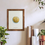 Lucky Charm IV -Framed Print w/glass-Cherry Red