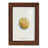 Lucky Charm IV -Framed Print w/glass-Cherry Red