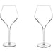 Luigi Bormioli Supremo Burgundy Red Wine Glasses Set of 2 - 22 Oz