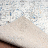 Lumina Vintage Transitional and Contemporary Area Rug