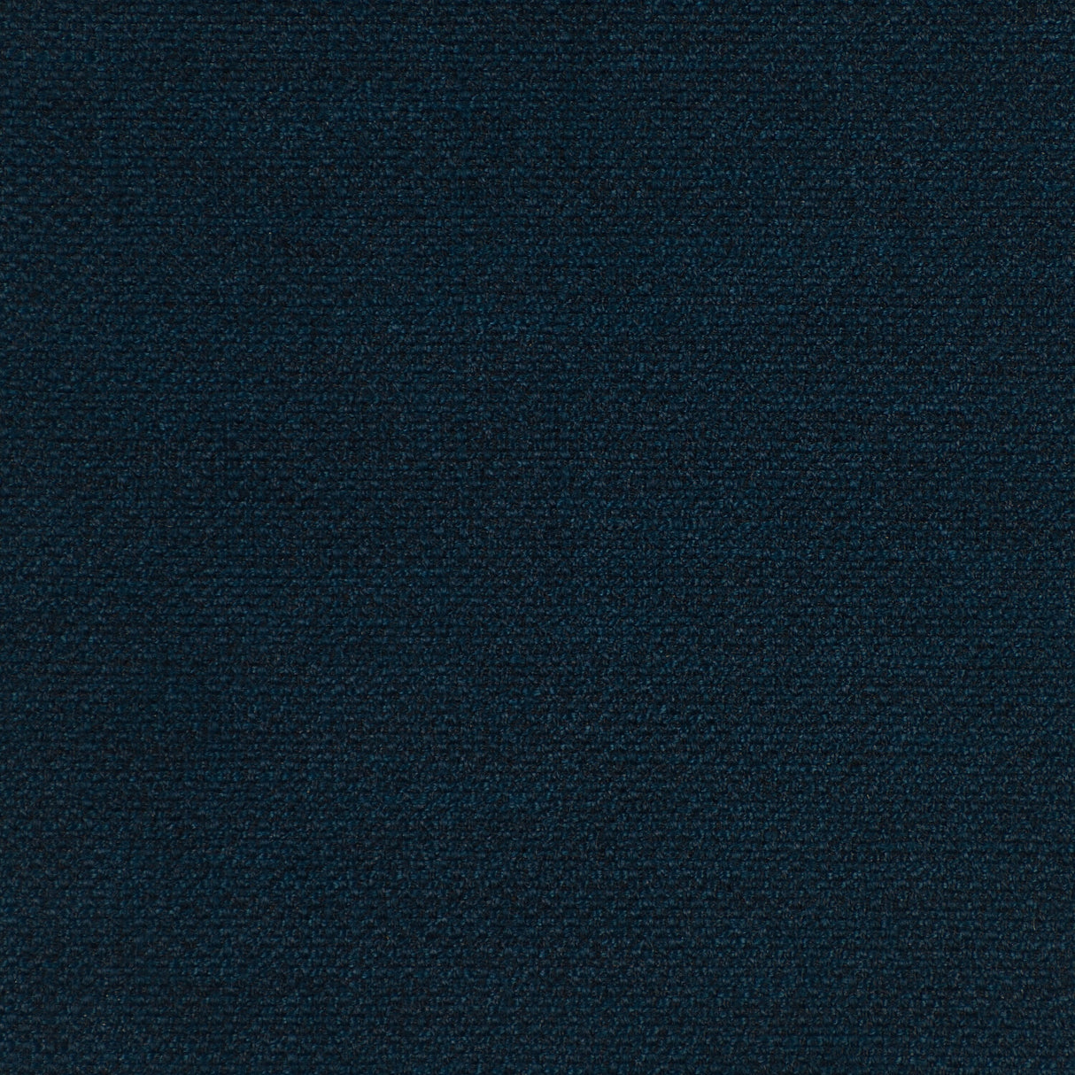1009806295