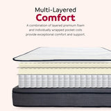 Luxe 14 in. Hybrid Plush Foam Mattress in a Box, White/Gray