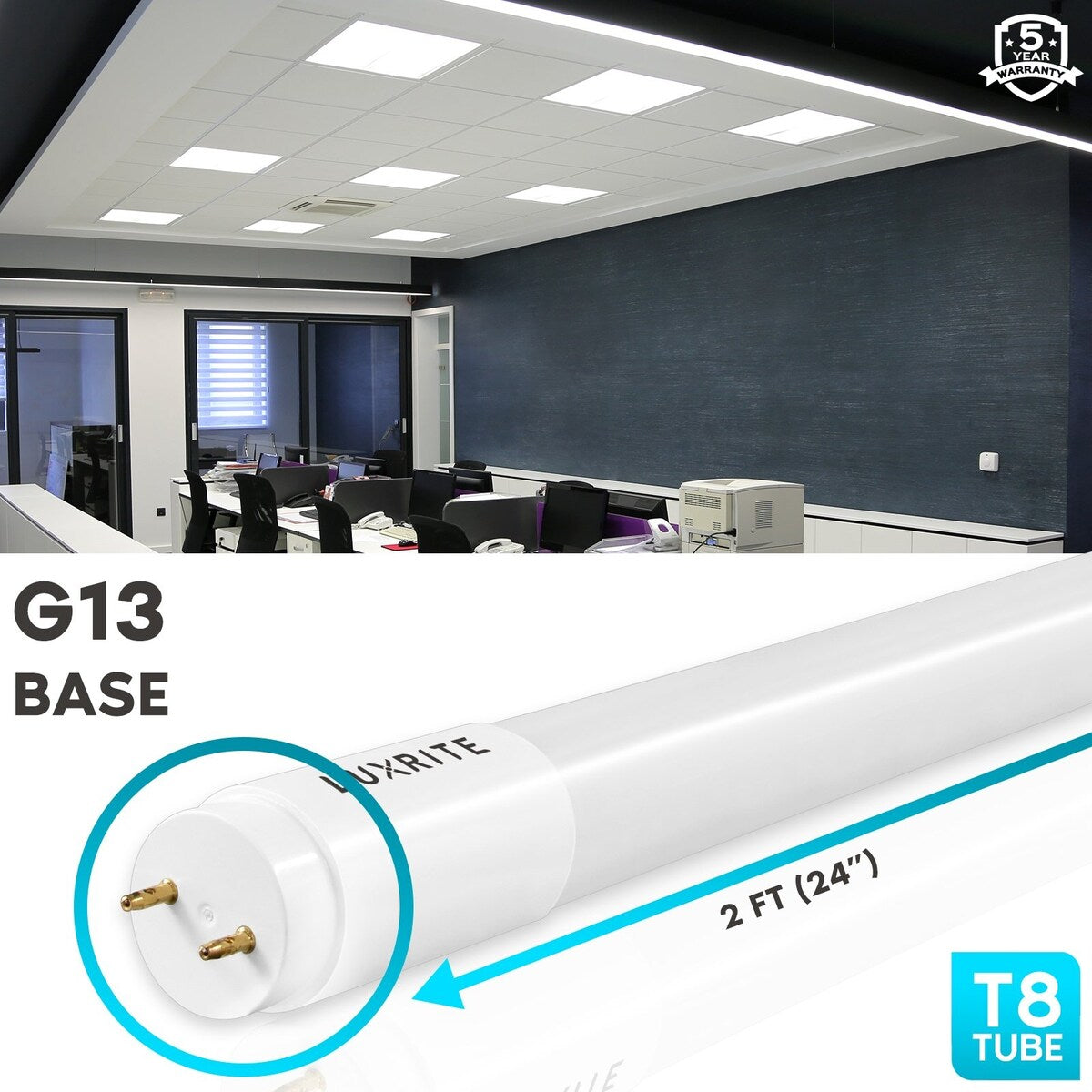 2ft t8 2025