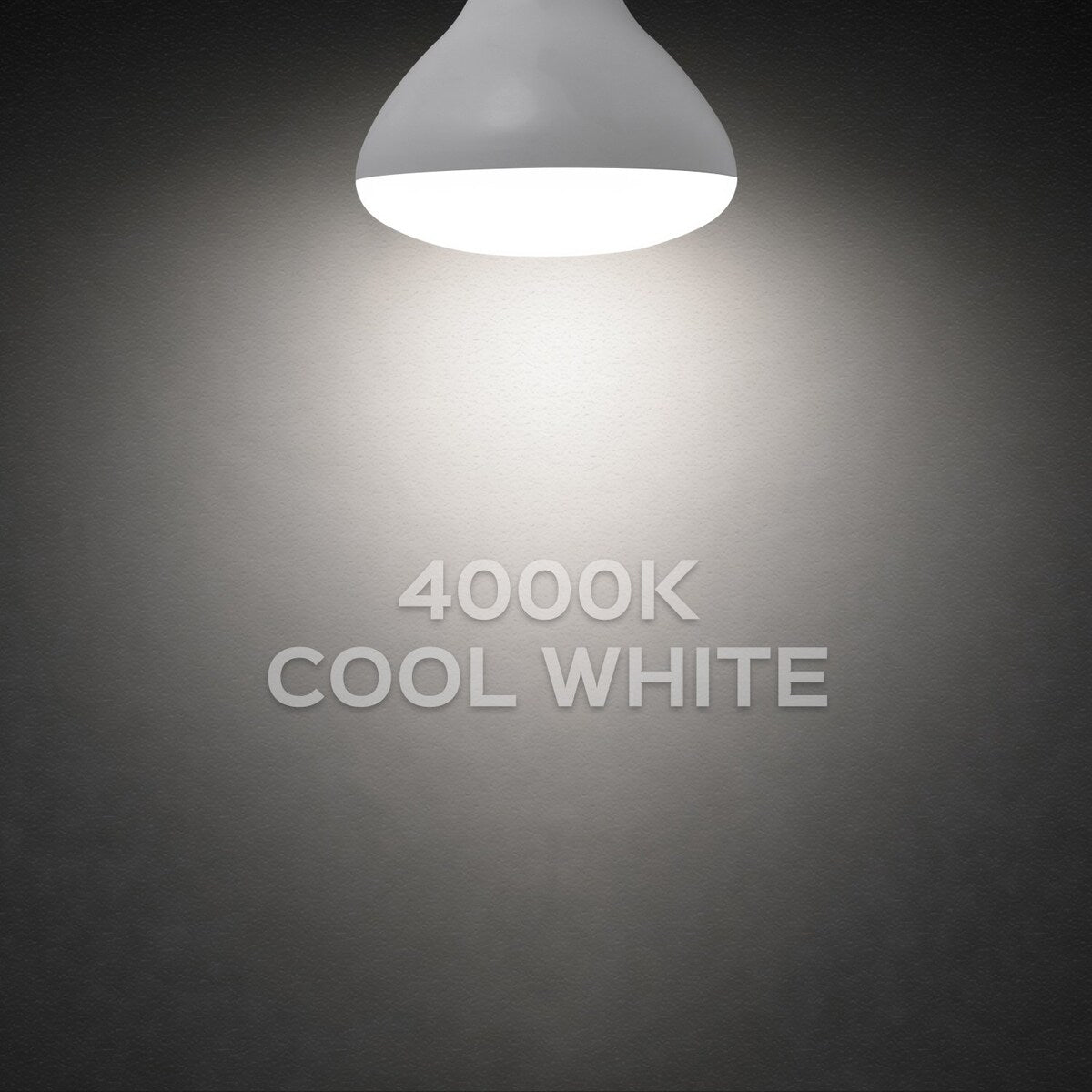 Luxrite BR40 LED Light Bulbs,14W= 85W Dimmable, 1100 Lumen, LED Flood Light Bulb, 14W, E26 Medium Base (10 Pack)